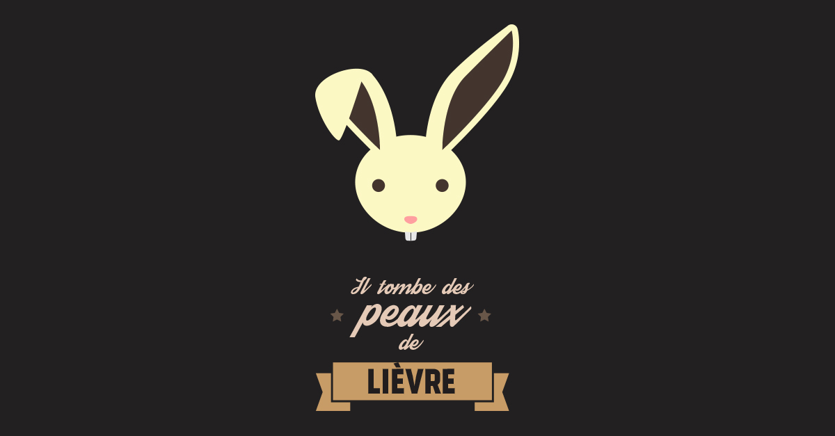 Que Veut Dire L Expression Quebecoise Il Tombe Des Peaux De Lievre