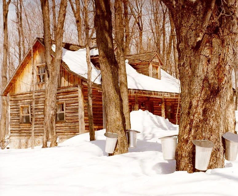 la cabane à sucre