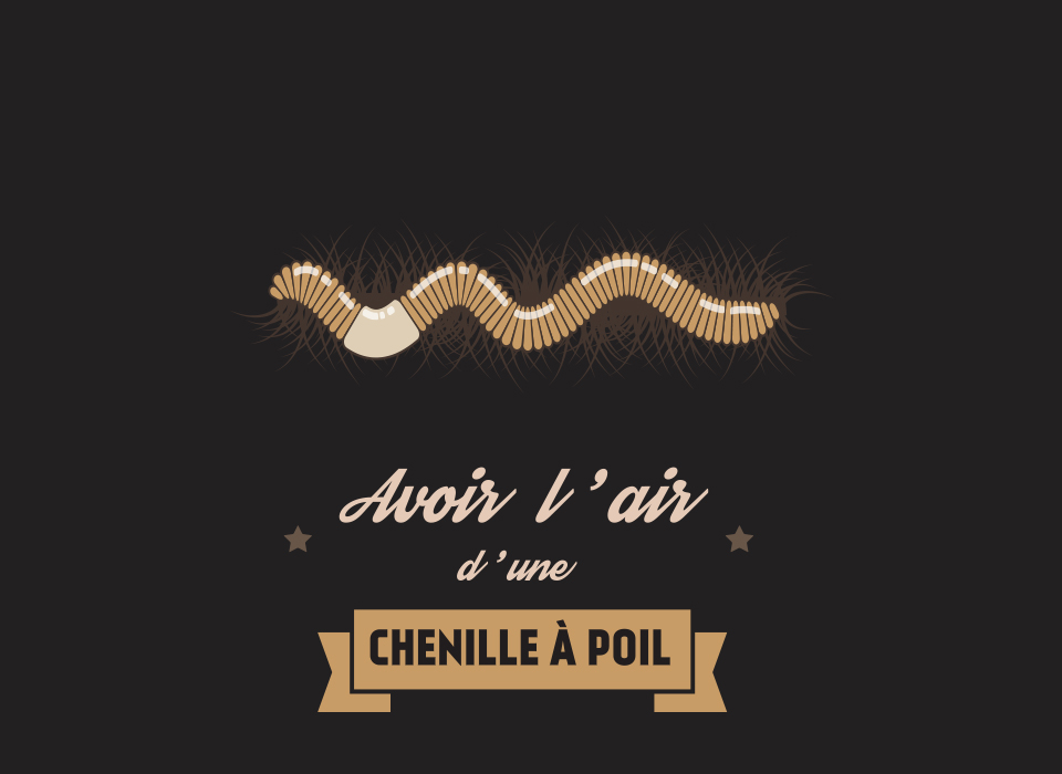 Avoir l'air d'une chenille à poil