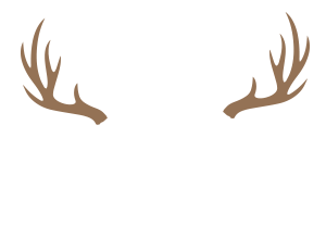 Je parle québécois