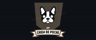 expression québécoise : Chien de poche